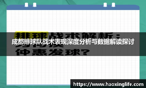 成都排球队战术表现深度分析与数据解读探讨