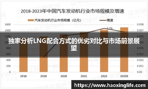 独家分析LNG配合方式的优劣对比与市场前景展望