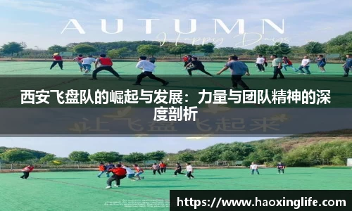 西安飞盘队的崛起与发展：力量与团队精神的深度剖析