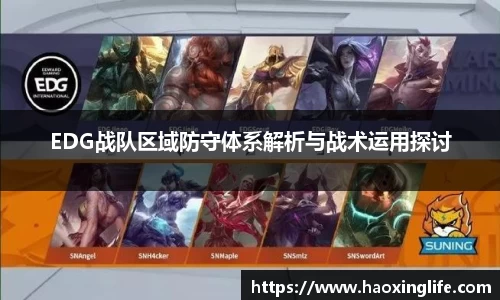 EDG战队区域防守体系解析与战术运用探讨
