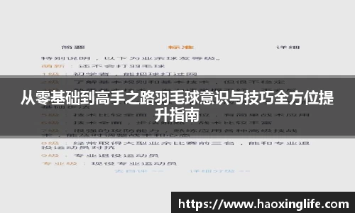 从零基础到高手之路羽毛球意识与技巧全方位提升指南