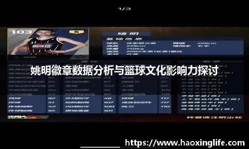 姚明徽章数据分析与篮球文化影响力探讨