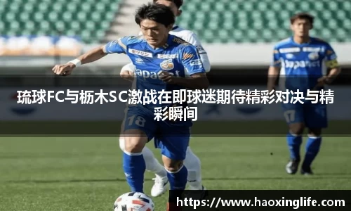 琉球FC与枥木SC激战在即球迷期待精彩对决与精彩瞬间